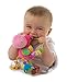 Playgro 0183303 Clopette Activity Rattle for Baby