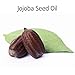 Dead Sea Mud Soap Revitalizing Natural – Nourishing Mineral Bar Soap for Face and Body – Lemongrass Soap Infused with Jojoba Oil, Borage Oil, Calendula Oil, Olive Fruit Oil by SEAMANTIKA
