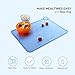 Silicone Baby Placemats for Children Kids Toddlers, Cute Stone Baby Placemats Travel with Raised Edge, Silicone Surface, Waterproof, Portable, Easy to Clean, Dishwasher Safe, BPA Free, Blue
