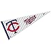 MINNESOTA TWINS FULL SIZE 29
