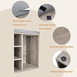 DINZI LVJ Shoe Storage Bench with Cushion, Cubby