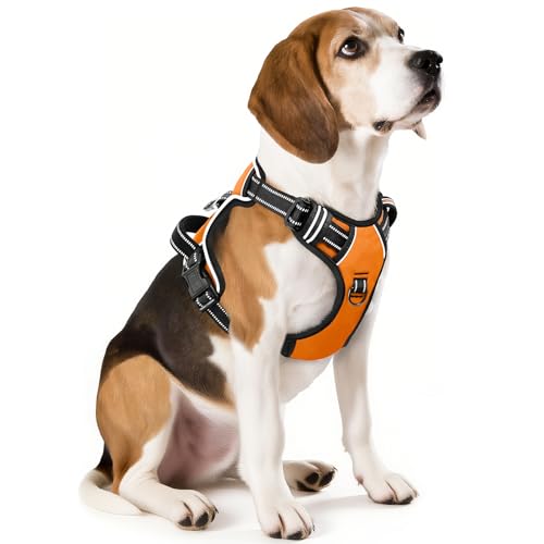 HEELE Dog Harness