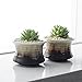 Greenaholics Succulent Plant Pots - 4.3 Inch Flowing Glaze Ceramic Bottle Pots, Cactus Planters, Flower Pots with Drainage Hole, Chocolate Black, Set of 2
