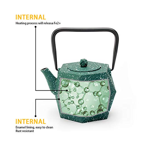 Tea Kettle, Toptier Japanese Cast Iron Teapot with Stainless Steel