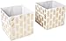 DII Non Woven Polyester Storage Bin, Metallic Pineapple, White & Gold, Large Set of 2