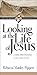 Looking at the Life of Jesus: 7 Seeker Bible Discussions on the Gospel of John