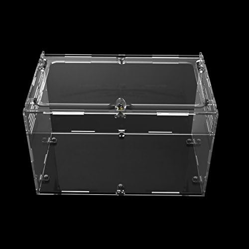 Dalle Craft Acrylic Reptile Terrarium Habitat for juvenile and small arboreal tarantulas chameleon snails or other Larval Reptiles (9.8X5.9X5.9inchH)