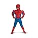 Spiderman Muscle Costume