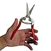 TABOR TOOLS Pruning Shears, Florist Scissors, Multi-Tasking Garden Snips for Arranging Flowers, Trimming Plants and Harvesting Herbs, Fruits or Vegetables. K17A. (Straight, Stainless Steel Blades) thumb 1