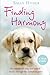 Finding Harmony: The remarkable dog that helped a family through the darkest of times by Sally Hyder