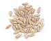 Rye Berries, 10 Pound Box primary
