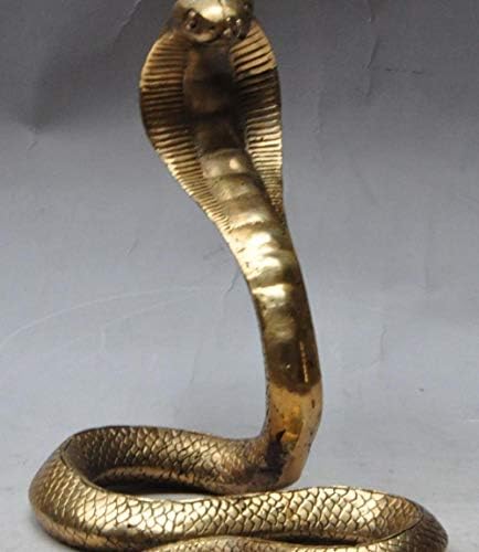RFDBTfra543dve11Bgbtjnw003 7" chinese fengshui brass Wild animal KING COBRA King snake statue Sculpture
