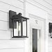 Emliviar Outdoor Wall Sconce, 1-Light Exterior Wall Lantern in Black Finish with Clear Seeded Glass, OS-1803EW1