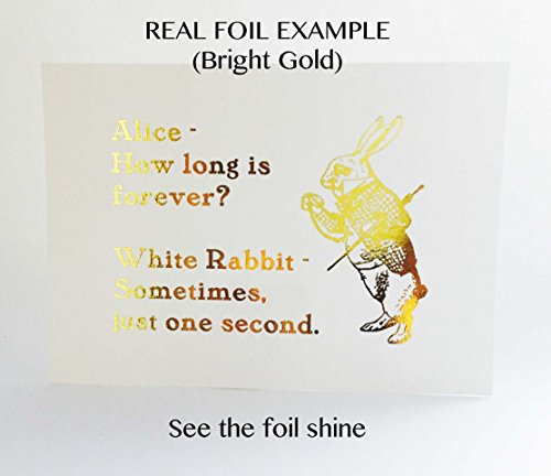 Makeup Brushes Bathroom Wall Decor Ros Buy Online In Albania At Desertcart