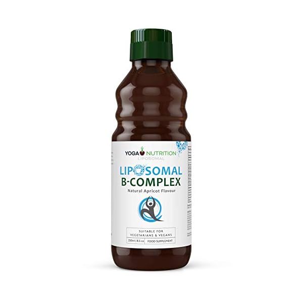 Liposomal-Vitamin-B-Complex-250ml-B1-B2-B3-B6-B7-B9-B12-Liposomal-for-Optimal-Absorption--No-Artificial-preservatives--Supports-a-Healthy-Nervous-System-by-Yoga-Nutrition Liposomal Liquid Vitamin B Complex 250ml (Large) – High Strength, Liposomal Maximum Absorption B Vitamins, Boosts Immune…