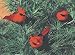 GALLERIE II Cardinal Christmas Xmas Ornament Assortment of 3 A/3 Red