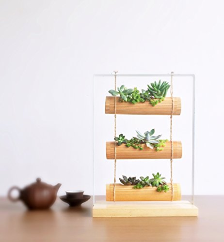 A6006 Perfect Gift - Living Art Vertical ZEN Garden Planter Succulent Cactus Small Plants Herbs Planting Cylinder System - WOOD