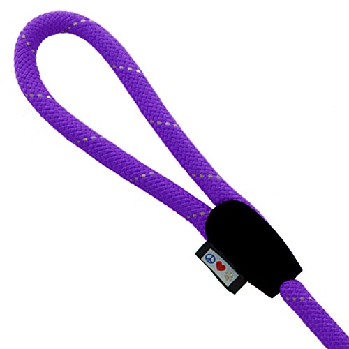 Pawtitas Pet Training 6 foot Reflective Rope Puppy / Dog Leash Medium / Large Purple