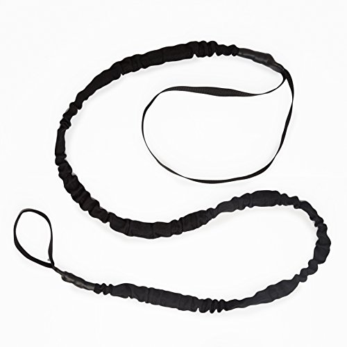 Tumbo Tugger Outdoor Hanging Doggie Bungee Rope Toy, Large