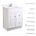 Design House 545004 Wyndham Ready-To-Assemble 1 Door/2 Drawer Vanity, White, 24-Inches Wide by 31.5-Inches Tall by 18-Inches Deep