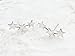 YAN & LEI Sterling Silver Triple Stars Stud Earrings Sweep Up Ear Climber Cuff Wrap Crawler