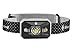 Black Diamond Strom Headlamp, Aluminum