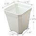 BangQiao 2.70 Inch Square Plastic Flower Pots for Plants, Seedlings, Pack of 12 (White)