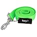 ITERY Dog Leash, Pet Durable Leash Strap for Puppy Pet Leash Rope 6-feet Long 1” Wide (Neon Green)
