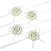 FAYBOX Girl Bridesmaid Wedding Wrist Corsage Party Prom Hand Flower Decor Pack of 4 Ivory