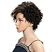QUEEN VIRGIN REMY QVR Short Wigs for Black Women Ombre Pixie Cuts Hair Wigs Synthetic Dreadlock Wigs for Women Heat Resistant Fiber Hair Wig Color (DYTD4/BLONDE)