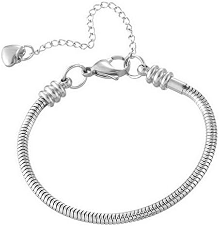 Amazon.com: PNIDVOYI 925 Sterling Silver New Classic Crown Buckle
