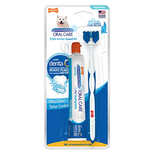Nylabone Advanced Oral Care Dog Dental Kit Original Flavor 2.5 Oz. on Galleon Philippines