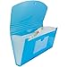 JAM PAPER Accordion Folders - 13 Pocket Plastic Expanding File - Check Size - 5 x 10 1/2 - Blue - Sold Individually