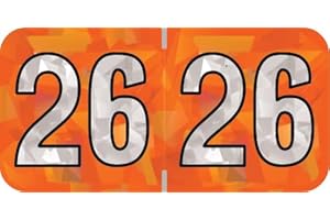 2026 Year Labels, Doctor Stuff 2026 Chart Stickers, Holographic Orange Colored, USA Made Year Label for End Tab File Folders, 500 Labels per Roll, 1 Roll, 3/4" x 1-1/2"