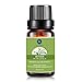 Vetiver Essential Oil,Premium Aromatherapy Oils,Therapeutic Grade,10ml