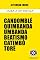 Livro SAIBA A DIFERENÇA: Candomblé, Quimbanda, Umbanda, Beatismo Catimbó e Toré