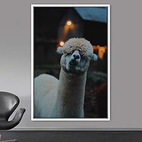 signwin Framed Canvas Wall Art Llama Animals Camels...