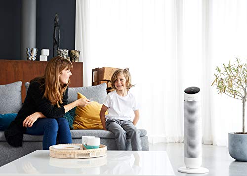 Rowenta Silence Comfort Chauffage Ventilateur Colonne Ultra Silencieux Filtre Rafraîchit Réchauffe Mode Intelligent Mode Eco Départ Différé Oscillation Électronique Télécommande Écran Digital HQ8120F0