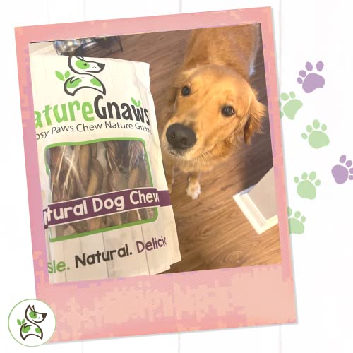 NATURE GNAWS BRAIDED PORK JERKY STICKS FOR DOGS – PREMIUM NATURAL DOG CHEW TREATS – RAWHIDE FREE DENTAL BONES – LONG LASTING TRAINING REWARD TREAT