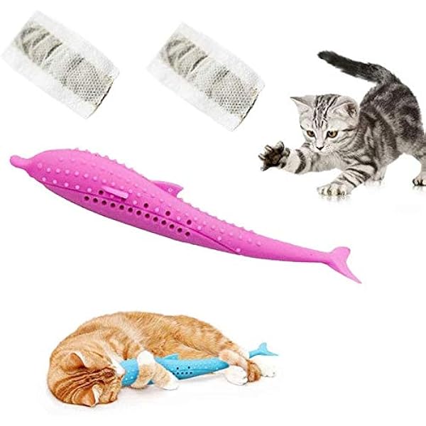 cat toothbrush australia