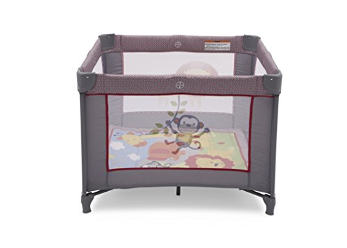 2 Delta+Children+Play+Yard+Jungle