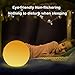LED Ball Light, 16 Colors Mood Lamp, Orbs Night Light with Rechargeable 10M Wireless Remote Floating Globe Light with Ground Insertion, Ideal for Kids Bedroom Garden Pool Party Decoration (8