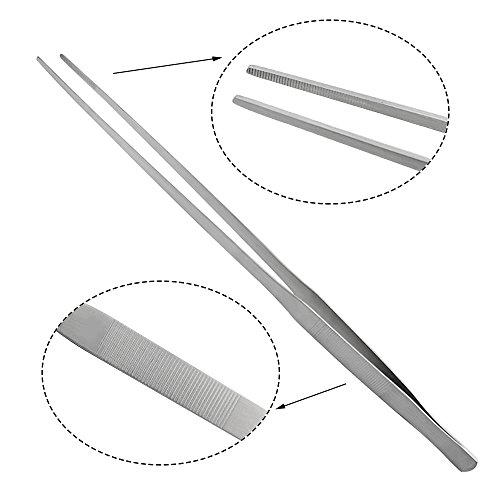 3 LILYS+PET+Straight+Stainless+Tweezers