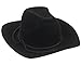 Black Cowgirl Doll Hat for the 18 Inch Horse Riding American Girl! 18 Inch Doll Black Velvet Cowgirl Hat w/ Decorative Rope on Brim