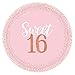 Sweet Sixteen 16 Coming of Age Birthday Party Supplies Bundle Pack for 16 Guests (Plus Party Planning Checklist by Mikes Super Store)9