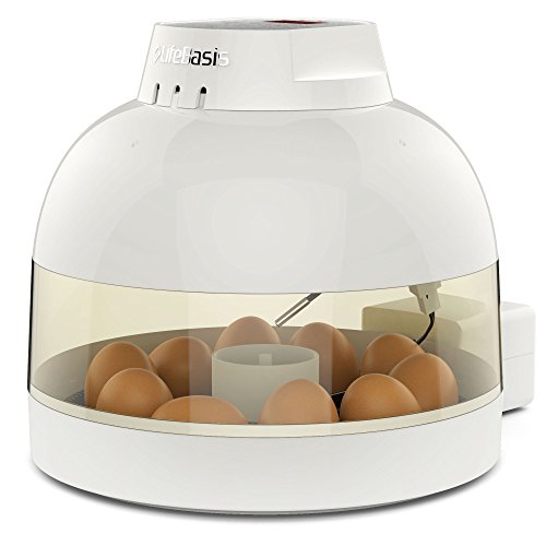 Egg Incubator, Life Basis Automatic Egg Turning Auto Temperature Control and Humidity Keep, Easy to Observe, 10 Eggs Small Hatcher for Chickens Ducks Geese Birds