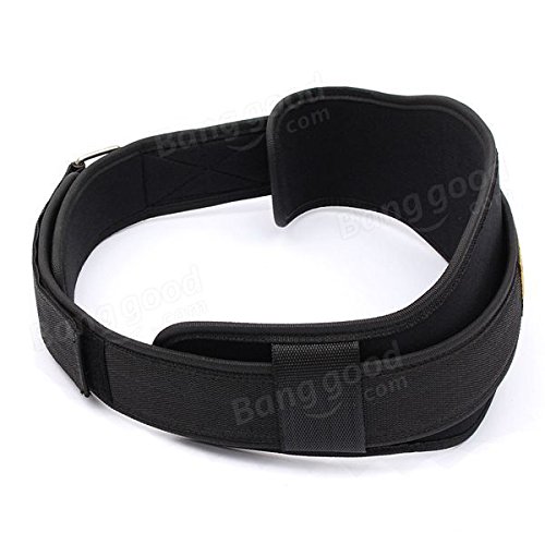 Pink Lizard Weight Lifting Belt Neoprene Back Support Training Fitness