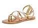 DREAM PAIRS Women's Slim Ankle Straps Flat Sandals