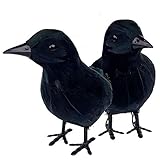 NorNovelties Black Crow Halloween Decor – 2 Pack Halloween Decorations Or Maleficent Costume Prop