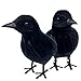 Halloween Crows Decor 2 Pack Halloween Crow Decorations Or Maleficent Costume Prop